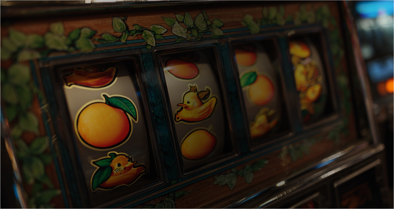 Duck Duck Bingo